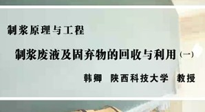 制浆原理与工程视频教程 韩卿 14讲 陕西科技大学