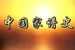 中国家谱史视频教程 王鹤鸣 10讲 上海图书馆