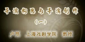 导演构思与导演创作视频教程 卢昂 9讲 上海戏剧学院