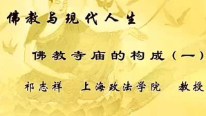 佛教与现代人生视频教程 祁志祥 27讲 上海政法学院