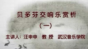 贝多芬交响乐赏析视频教程 汪申申 20讲 武汉音乐学院