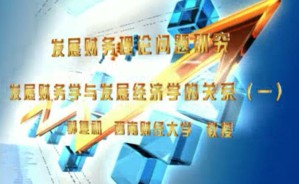 发展财务理论问题研究视频教程 郭复初 26讲 西南财经大学