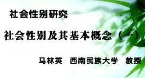 社会性别研究视频教程 马林英 49讲 西南民族大学