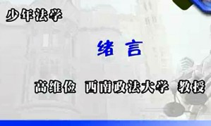 少年法学视频教程 高维俭 46讲 西南政法大学