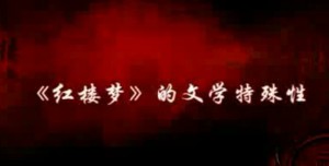 《红楼梦》研究视频教程 蔡义江 24讲 中国红楼梦学会