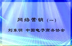 网络营销2视频教程 刘东明 16讲 中国移动研究院