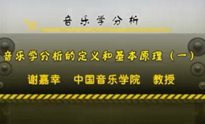 音乐学分析视频教程 谢嘉幸 41讲 中国音乐学院