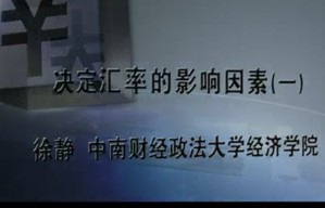 决定汇率的影响因素视频教程 徐静 13讲 中南财经政法大学
