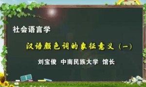社会语言学视频教程 刘宝俊 30讲 中南民族大学