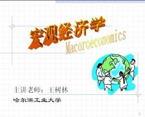 宏观经济学视频教程 王树林 54讲 哈尔滨工业大学