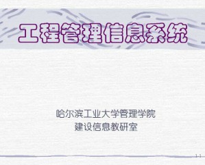 工程管理信息系统视频教程 李良宝 32讲 哈尔滨工业大学