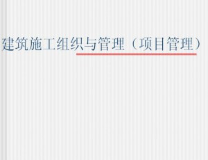 工程项目管理视频教程 王丹 65讲 哈尔滨工业大学