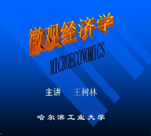 微观经济学视频教程 王树林 70讲 哈尔滨工业大学