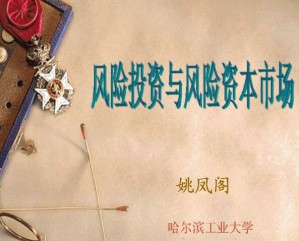风险投资学视频教程 姚凤阁 34讲 哈尔滨工业大学