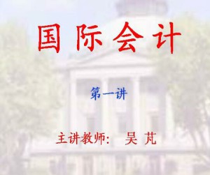 国际会计视频教程 32讲 东南大学