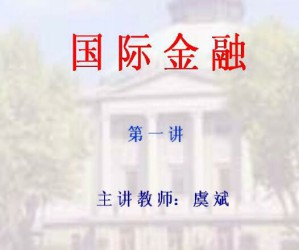 国际金融视频教程 50讲 东南大学