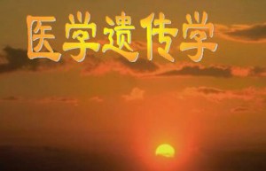 医学遗传学视频教程 32讲 吉林大学