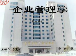 企业管理学视频教程 48讲 吉林大学