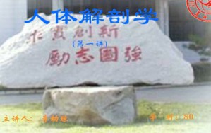 人体解剖学视频教程 80讲 吉林大学