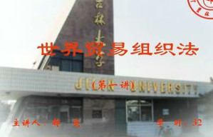 世界贸易组织法视频教程 32讲 吉林大学