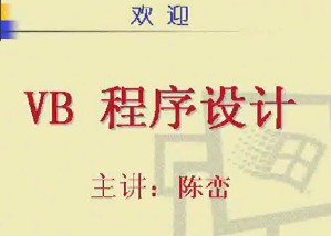 VB程序设计视频教程 40讲 电子科技大学