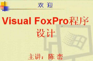 VF程序设计视频教程 40讲 电子科技大学