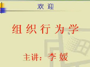 组织行为学视频教程 46讲 电子科技大学