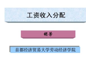 工资收入分配视频教程 22讲 首都经济贸易大学