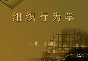 组织行为学视频教程 23讲 中国石油大学