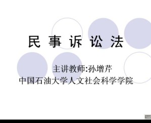 民事诉讼法学视频教程 65讲 中国石油大学