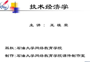 技术经济学视频教程 30讲 中国石油大学