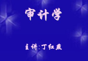 审计学视频教程 33讲 中国石油大学