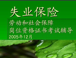 失业保险视频教程 33讲 中国石油大学