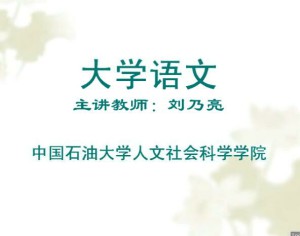 大学语文视频教程 30讲 中国石油大学