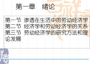 劳动经济学视频教程 23讲 中国石油大学