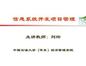信息系统开发项目管理视频教程 31讲 中国石油大学