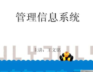 管理信息系统视频教程 26讲 中国石油大学