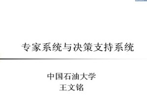 专家系统与决策支持系统视频教程 49讲 中国石油大学