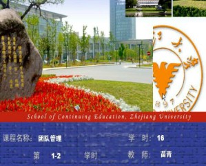 团队管理视频教程 苗青 16学时 浙江大学