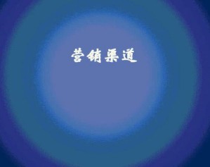 销售渠道管理视频教程 44讲 上海交通大学