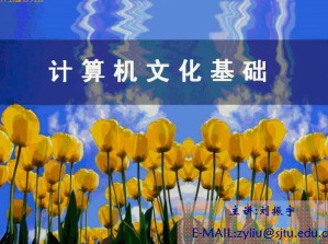 计算机文化基础视频教程 27讲 上海交通大学