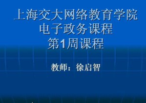 电子政务视频教程 29讲 上海交通大学