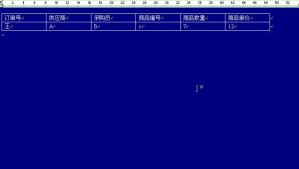 财务信息系统视频教程 12讲 南开大学