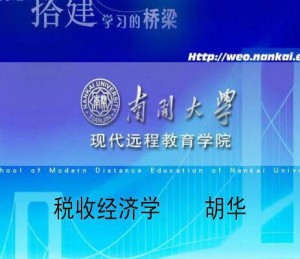 税收经济学视频教程 3讲 南开大学