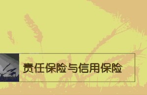 信用、责任保险视频教程 14讲 南开大学