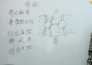 图论视频教程 60讲 北京师范大学