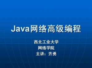 java高级网络编程视频教程 齐勇 44讲 西北工业大学