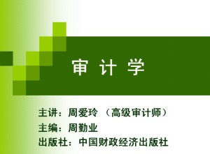 高级审计学视频教程 周爱玲 48讲 西北工业大学