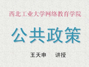 公共政策视频教程 王天申 48讲 西北工业大学