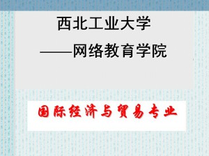 国际金融视频教程 石冬莲 49讲 西北工业大学